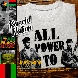 Black History Month t shirt Huey and Bobby Seale